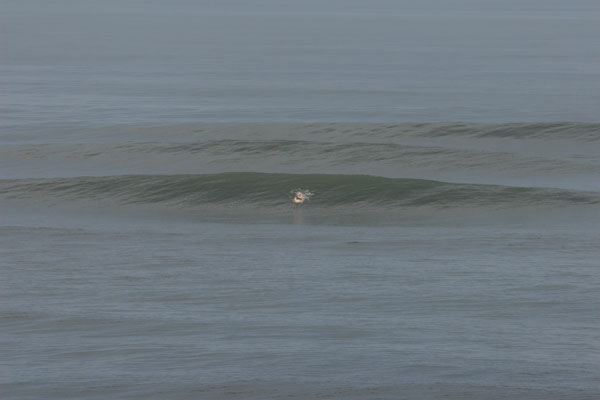 �����𑜓x�̃t���[�ʐ^�f�ނ��J��