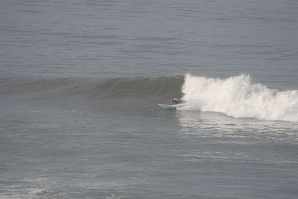 �����𑜓x�̃t���[�ʐ^�f�ނ��J��