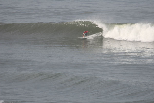 �����𑜓x�̃t���[�ʐ^�f�ނ��J��