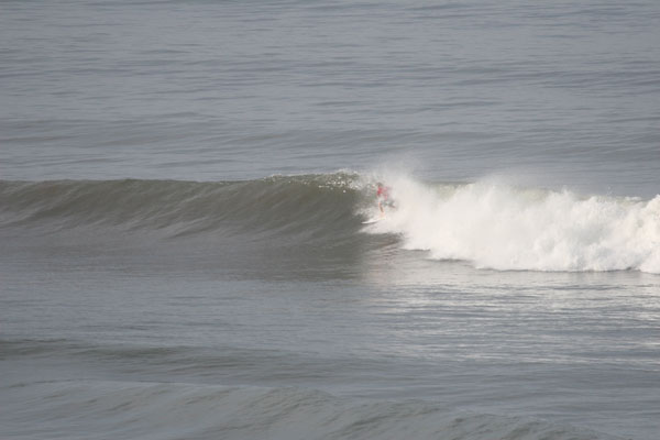 �����𑜓x�̃t���[�ʐ^�f�ނ��J��