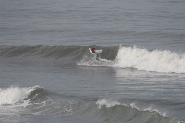 �����𑜓x�̃t���[�ʐ^�f�ނ��J��