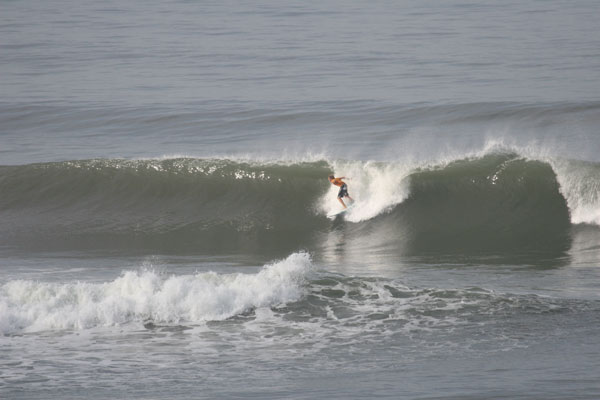 �����𑜓x�̃t���[�ʐ^�f�ނ��J��