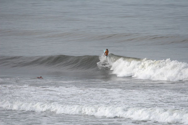 �����𑜓x�̃t���[�ʐ^�f�ނ��J��