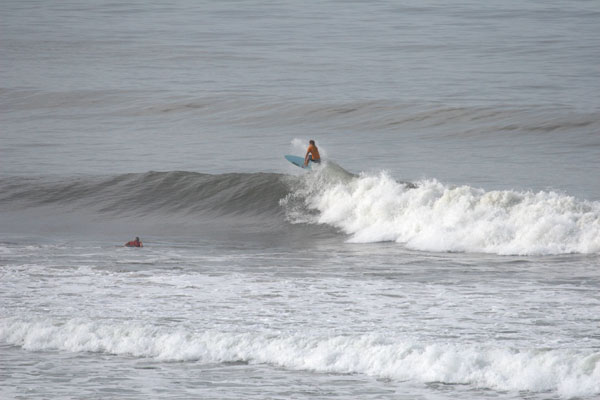 �����𑜓x�̃t���[�ʐ^�f�ނ��J��