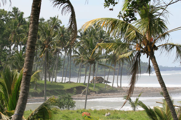 �����𑜓x�̃t���[�ʐ^�f�ނ��J��