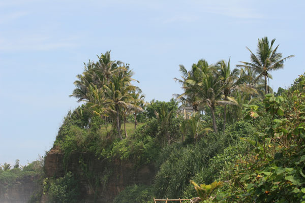 �����𑜓x�̃t���[�ʐ^�f�ނ��J��