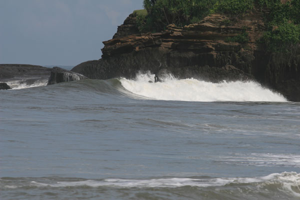 �����𑜓x�̃t���[�ʐ^�f�ނ��J��