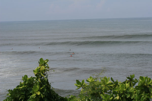 �����𑜓x�̃t���[�ʐ^�f�ނ��J��