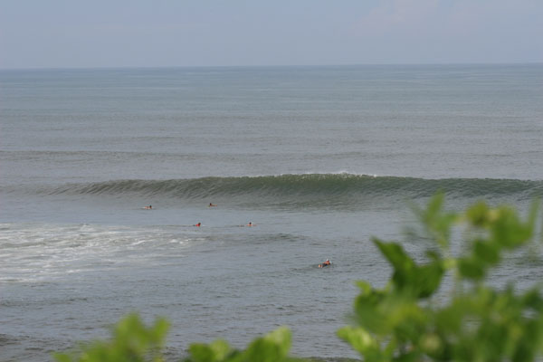 �����𑜓x�̃t���[�ʐ^�f�ނ��J��