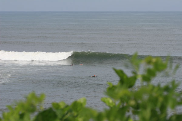 �����𑜓x�̃t���[�ʐ^�f�ނ��J��