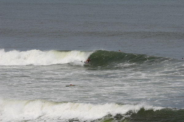 �����𑜓x�̃t���[�ʐ^�f�ނ��J��