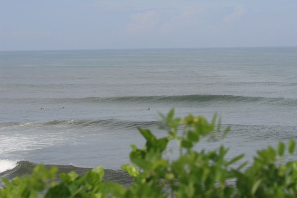 �����𑜓x�̃t���[�ʐ^�f�ނ��J��