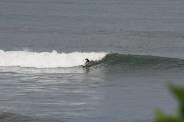 �����𑜓x�̃t���[�ʐ^�f�ނ��J��