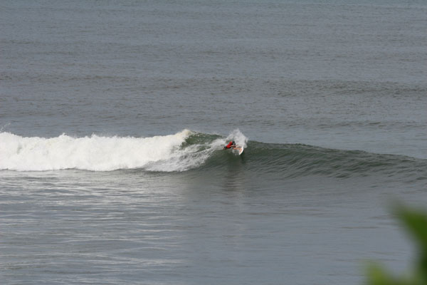 �����𑜓x�̃t���[�ʐ^�f�ނ��J��