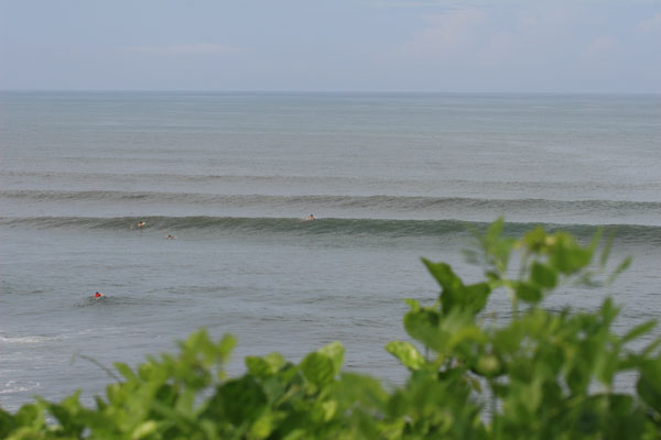 �����𑜓x�̃t���[�ʐ^�f�ނ��J��