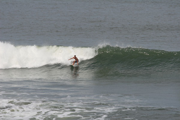 �����𑜓x�̃t���[�ʐ^�f�ނ��J��