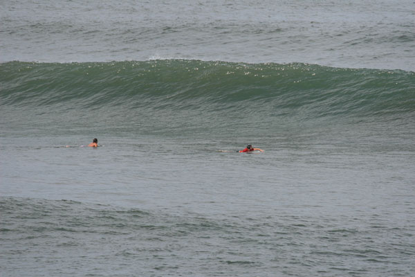 �����𑜓x�̃t���[�ʐ^�f�ނ��J��