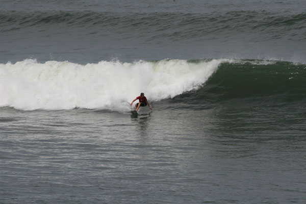 �����𑜓x�̃t���[�ʐ^�f�ނ��J��