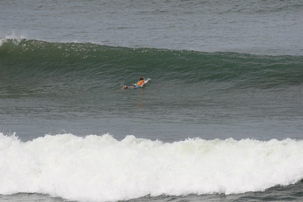 �����𑜓x�̃t���[�ʐ^�f�ނ��J��