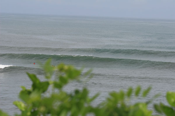 �����𑜓x�̃t���[�ʐ^�f�ނ��J��