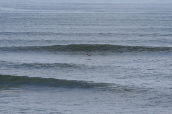 �����𑜓x�̃t���[�ʐ^�f�ނ��J��