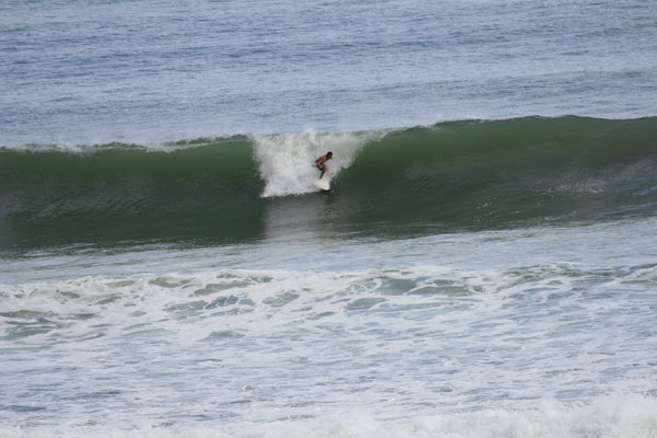 �����𑜓x�̃t���[�ʐ^�f�ނ��J��