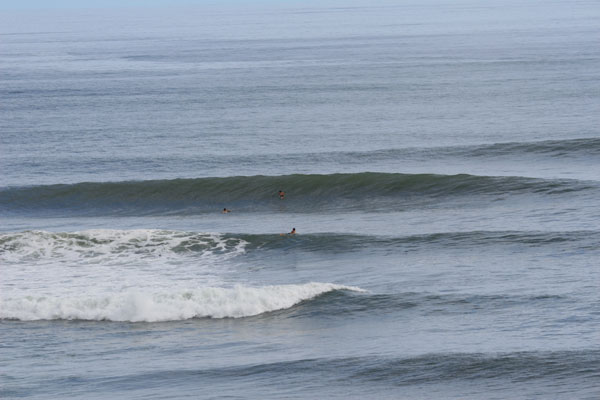 �����𑜓x�̃t���[�ʐ^�f�ނ��J��