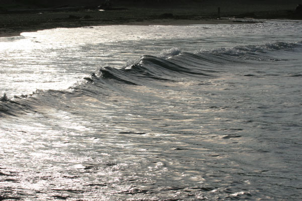 �����𑜓x�̃t���[�ʐ^�f�ނ��J��