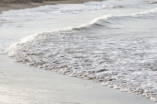 �����𑜓x�̃t���[�ʐ^�f�ނ��J��