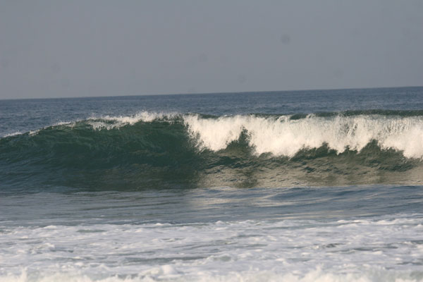 �����𑜓x�̃t���[�ʐ^�f�ނ��J��