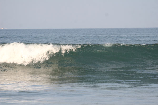 �����𑜓x�̃t���[�ʐ^�f�ނ��J��