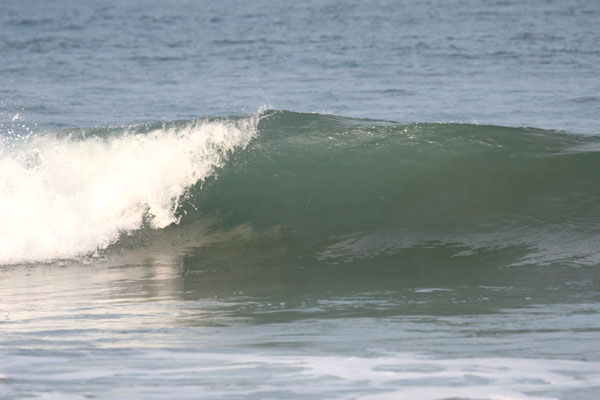 �����𑜓x�̃t���[�ʐ^�f�ނ��J��