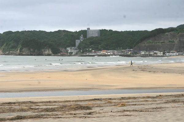 �����𑜓x�̃t���[�ʐ^�f�ނ��J��