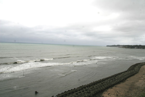 �����𑜓x�̃t���[�ʐ^�f�ނ��J��