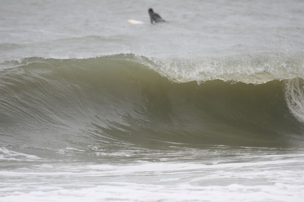 �����𑜓x�̃t���[�ʐ^�f�ނ��J��