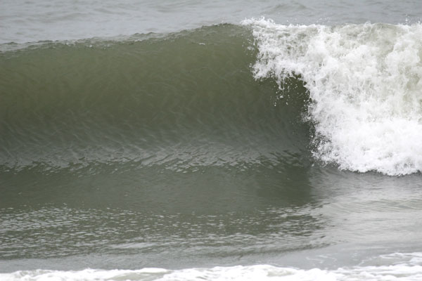 �����𑜓x�̃t���[�ʐ^�f�ނ��J��