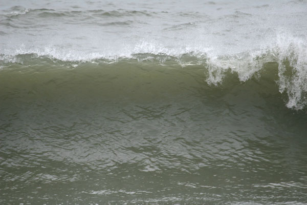 �����𑜓x�̃t���[�ʐ^�f�ނ��J��