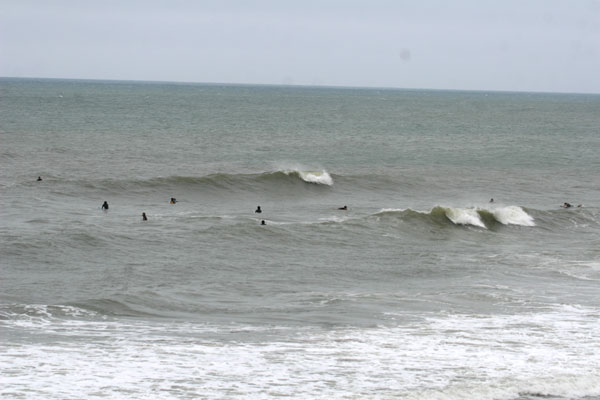 �����𑜓x�̃t���[�ʐ^�f�ނ��J��