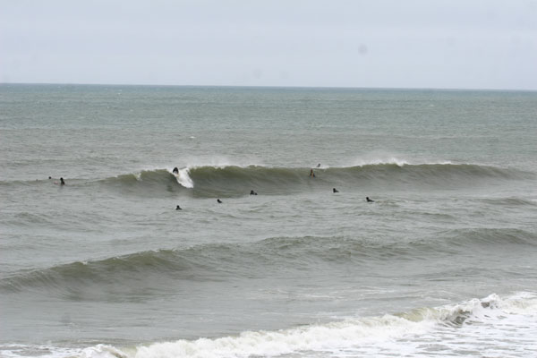 �����𑜓x�̃t���[�ʐ^�f�ނ��J��