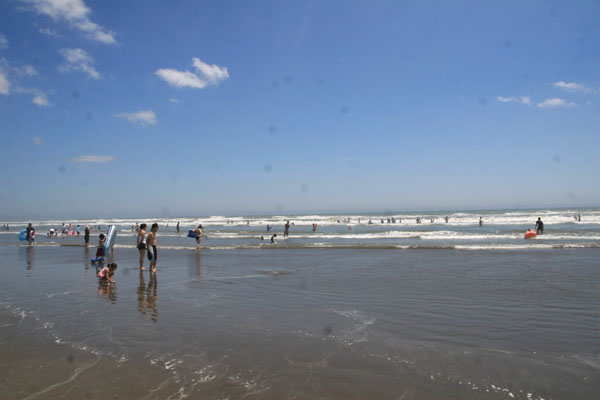 �����𑜓x�̃t���[�ʐ^�f�ނ��J��