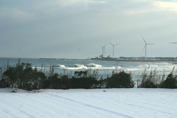 �����𑜓x�̃t���[�ʐ^�f�ނ��J��