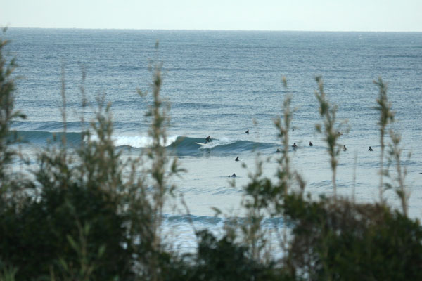 �����𑜓x�̃t���[�ʐ^�f�ނ��J��