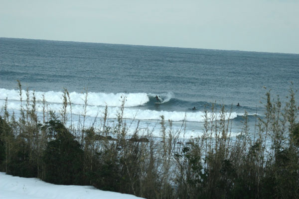 �����𑜓x�̃t���[�ʐ^�f�ނ��J��