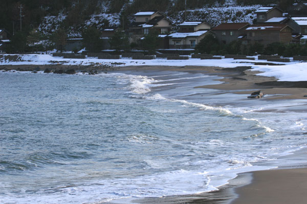 �����𑜓x�̃t���[�ʐ^�f�ނ��J��