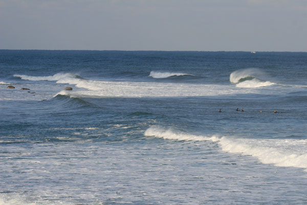 �����𑜓x�̃t���[�ʐ^�f�ނ��J��