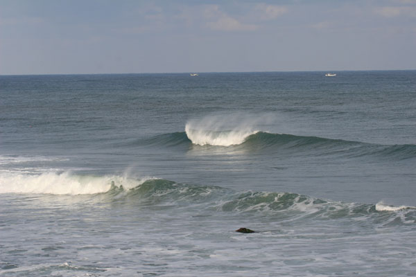 �����𑜓x�̃t���[�ʐ^�f�ނ��J��