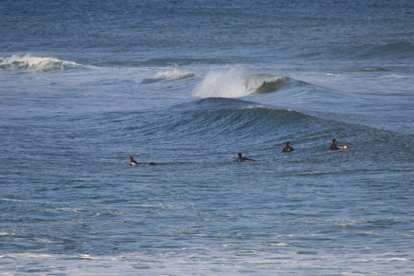 �����𑜓x�̃t���[�ʐ^�f�ނ��J��