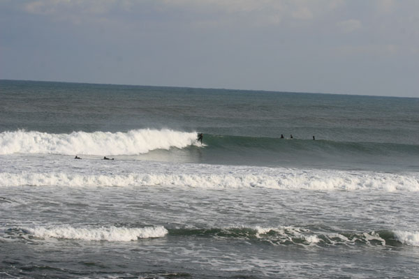 �����𑜓x�̃t���[�ʐ^�f�ނ��J��