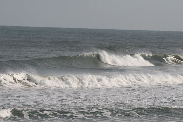 �����𑜓x�̃t���[�ʐ^�f�ނ��J��