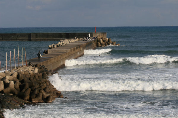 �����𑜓x�̃t���[�ʐ^�f�ނ��J��